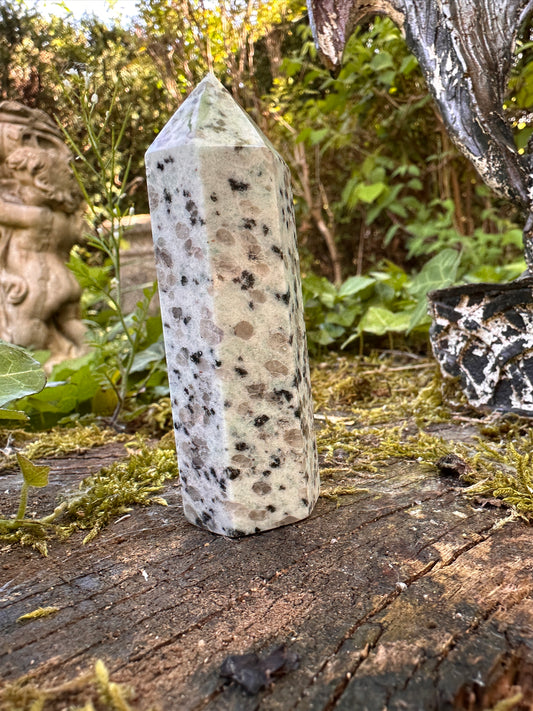 Kiwi Or Sesame Jasper Points - Stone of Tranquility