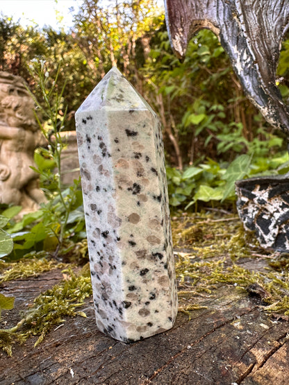 Kiwi Or Sesame Jasper Points - Stone of Tranquility