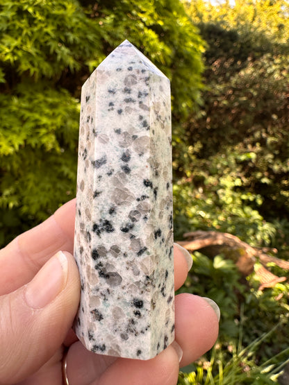 Kiwi Or Sesame Jasper Points - Stone of Tranquility