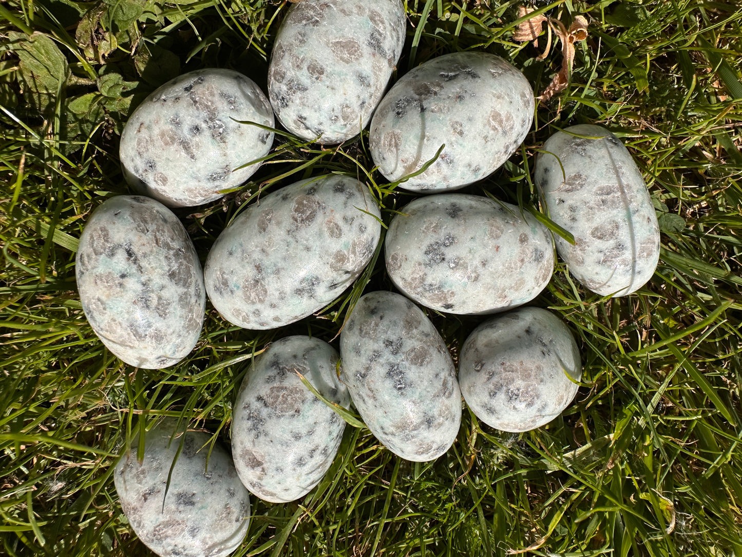 Kiwi or Sesame Jasper Mini Palm Stones - Stone of Tranquility