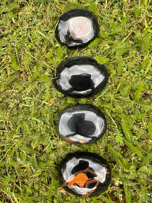 Tigers Eye Blue Palm Stones