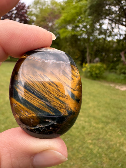 Tigers Eye Blue Palm Stones