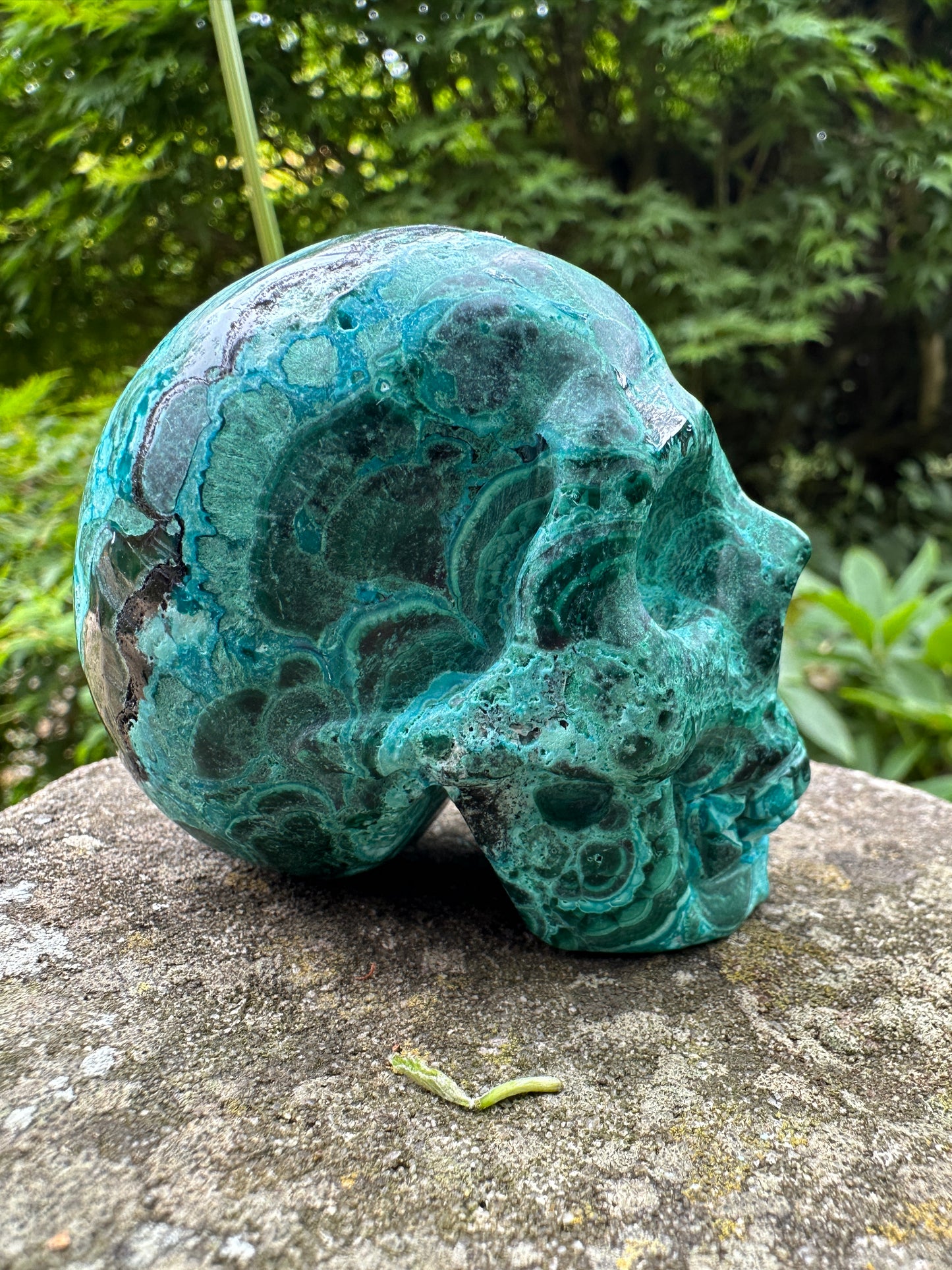 Chrysocolla Crystal Skull