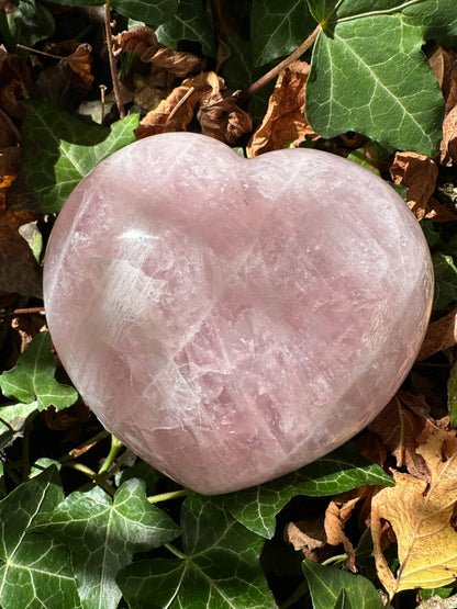 Rose Quartz Extra Large Heart