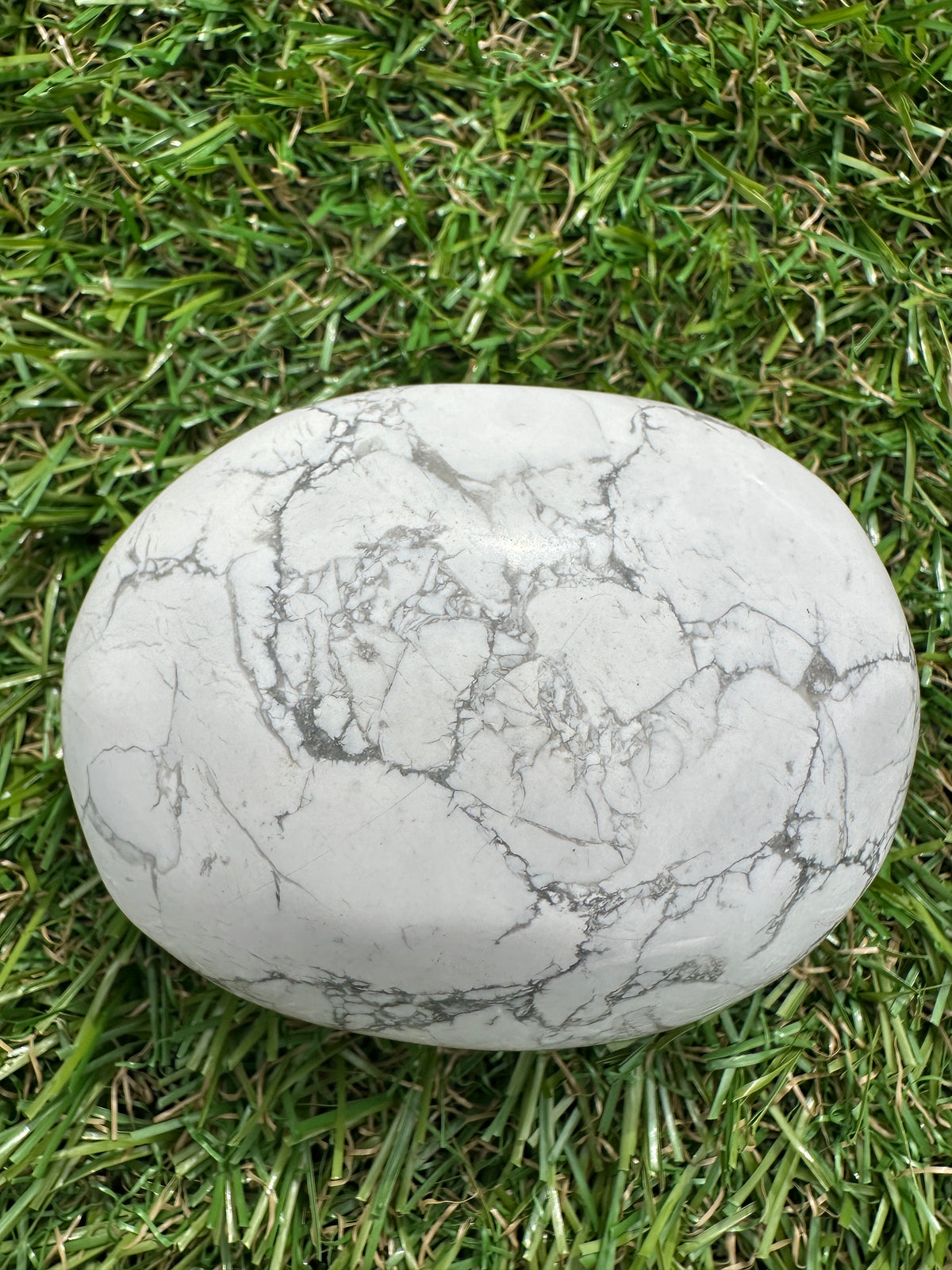 Howlite White Palm Stones