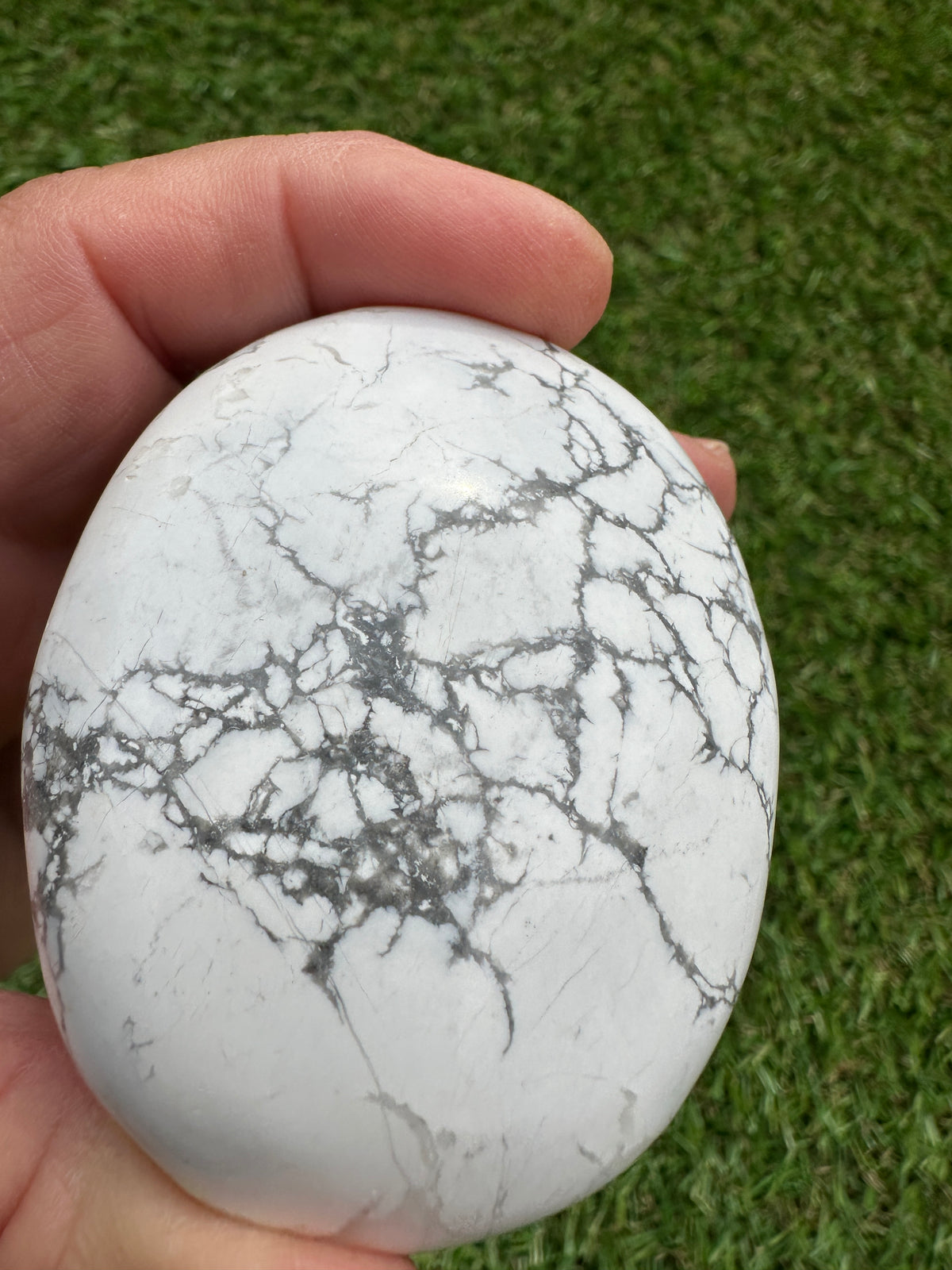 Howlite White Palm Stones