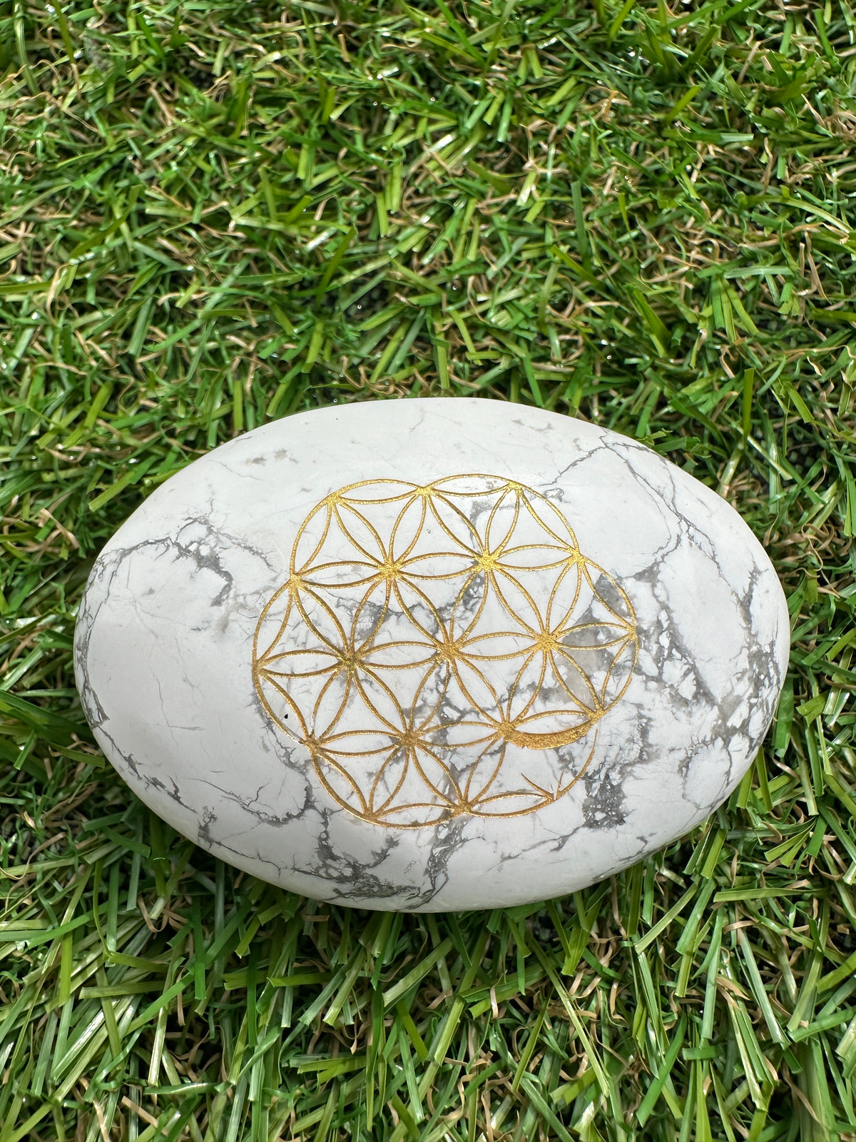 Howlite White Palm Stones