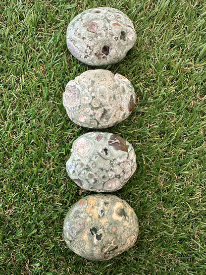 Rhyolite Rainforest Jasper Palm Stones