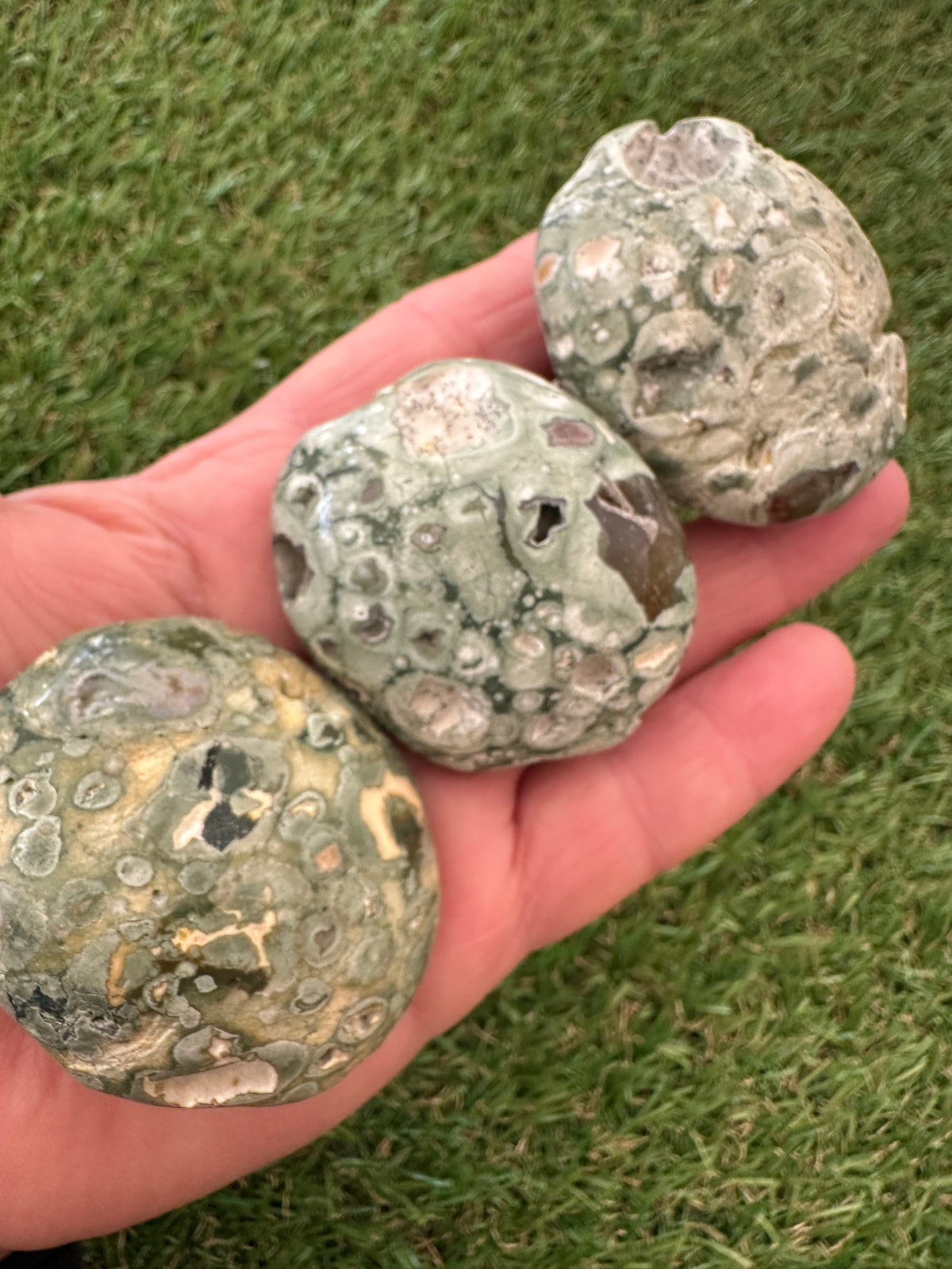 Rhyolite Rainforest Jasper Palm Stones