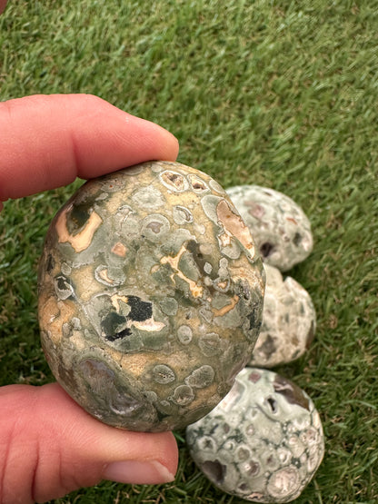 Rhyolite Rainforest Jasper Palm Stones