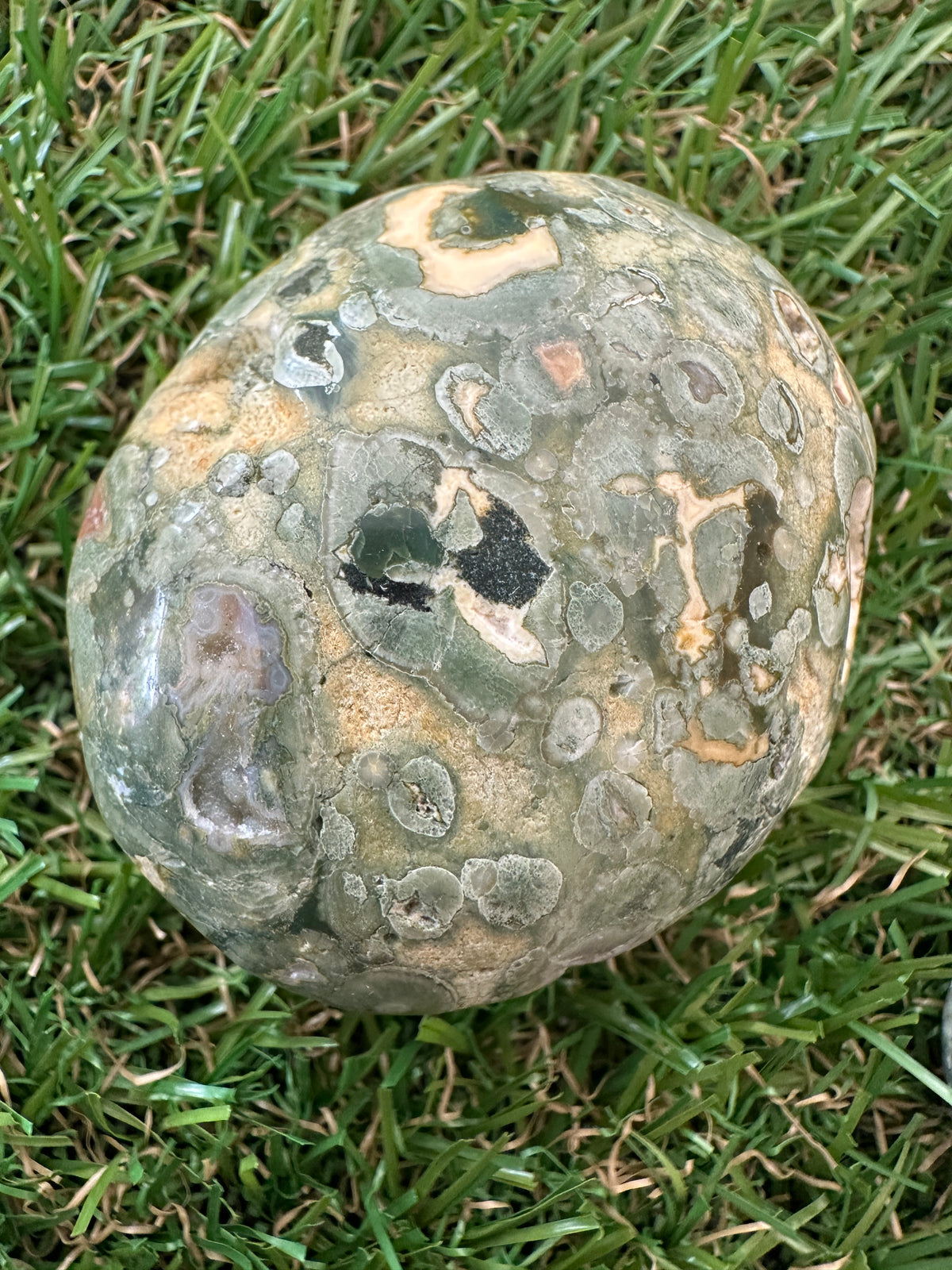 Rhyolite Rainforest Jasper Palm Stones