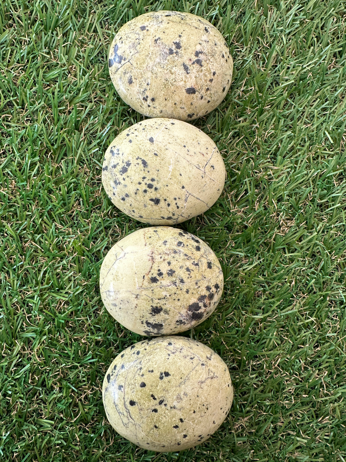 Serpentine Palm Stones