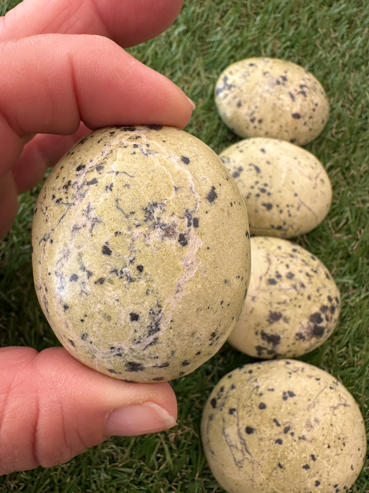 Serpentine Palm Stones