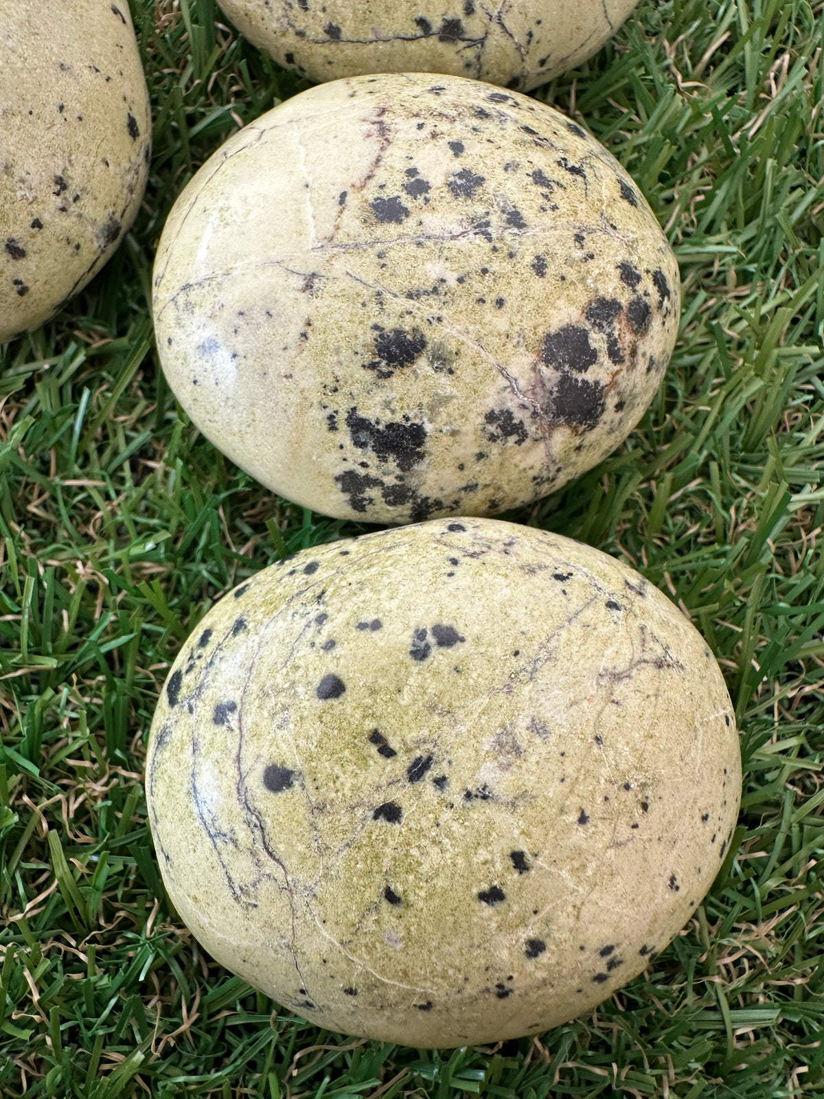 Serpentine Palm Stones