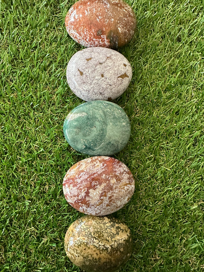 Jasper Ocean Palm Stones