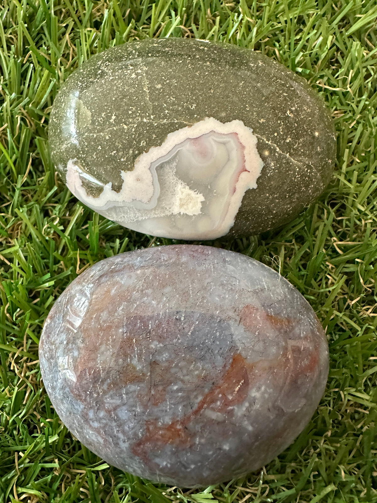Jasper Ocean Palm Stones