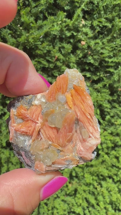 Cerussite, Baryte, Galeno And Sandstone Specimen Raw and Natural Piece